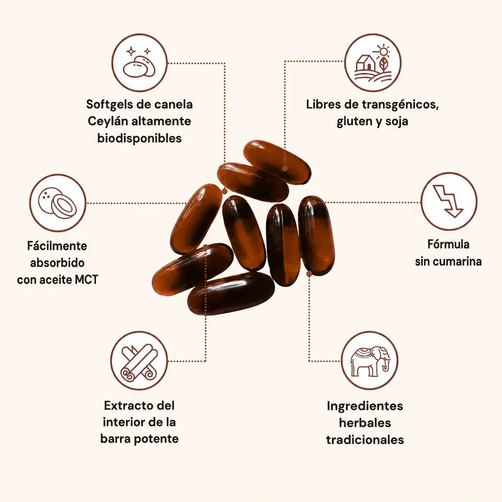 Canela de Ceilán 7200 mg equivalente con aceite MCT